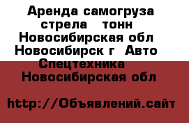 Аренда самогруза стрела 5 тонн - Новосибирская обл., Новосибирск г. Авто » Спецтехника   . Новосибирская обл.